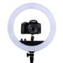 Ring Light 10 + Tripé 1,8m Iluminador 26cm com Tripé 120 Led - EBAY Imagem de Ring Light 10 + Tripé 1,8m Iluminador 26cm com Tripé 120 Led
