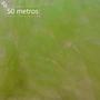 Imagem de Rolo de Tecido Tule 50 Metros x 1,20 Mt Largura Verde Limão