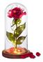 Imagem de Rosa Eterna Iluminada Cúpula Em Vidro Flor Artificial Presente Dia dos Namorados