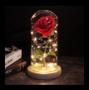 Imagem de Rosa Eterna Iluminada Cúpula Em Vidro Flor Artificial Presente Dia dos Namorados