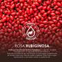 Imagem de Rosa mosqueta oleo 30ml - bellaphytus