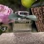 Imagem de Rose Naturelle Intense Chloé Perfume Feminino Eau de Parfum 100ml