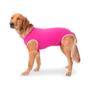 Imagem de Roupa Cirúrgica Confortpet Regular Macho e Fêmea Rosa para Cães - Tamanho 1