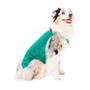 Imagem de Roupa Cirúrgica Pet Med Duo Dry Regular Verde para Cães - Tamanho 5