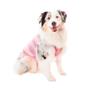 Imagem de Roupa Cirúrgica Pet Med Ultra Light Regular Ball Rosa para Cães - Tamanho 00