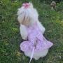 Imagem de Roupa Pet Cachorro Vestido E Guia ROSA COELHINHAS Yorkshire Spitz Shitzu Pug