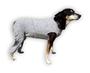 Imagem de Roupa Pós Cirúrgica Com Proteção Solar Para Cachorro Para Membros Posteriores Pernas Traseira - Dry Fit Proteção UV 50+