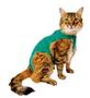 Imagem de Roupa Protetora e Pós Cirúrgica para Gatos - Duo Dry Verde Nº 01