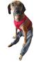 Imagem de Roupa Protetora Para Cachorro Paraplégico Que se Arrastam e Com Problemas de Locomoção Perna Traseira Membros Posteriores