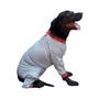 Imagem de Roupa Protetora Pós Cirúrgica Com Proteção Solar Para Cachorro Corpo e Pernas Traseira e Dianteira - Roupa Dermatite Atópica - Dry Fit Proteção UV 50+
