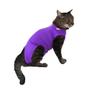 Imagem de Roupa Protetora Pós Cirúrgica Pet Para Castração de Gato Fêmea Cor Rosa e Roxo