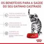 Imagem de Royal canin kitten sterilised 4kg