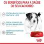 Imagem de Royal canin mini puppy wet 85g sache caes