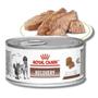 Imagem de Royal Canin Veterinary Diet Canine Recovery Lata 195g