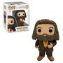 Imagem de Rubeus Hagrid Harry Potter 171 Funko POP! Candide