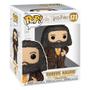 Imagem de Rubeus Hagrid Harry Potter 171 Funko POP! Candide