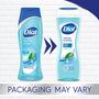 Imagem de Sabonete Líquido Dial Refresh & Renew Spring Water - 473ml (Kit com 4)