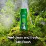 Imagem de Sabonete líquido Irish Spring Original Clean 100 ml (pacote com 24)