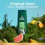 Imagem de Sabonete Líquido Irish Spring Original Clean - Pacote com 2 Unidades (591ml cada)