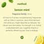 Imagem de Sabonete Líquido para Mãos Foaming Lemon Mint - 300ml (Kit com 3)