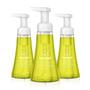 Imagem de Sabonete Líquido para Mãos Foaming Lemon Mint - 300ml (Kit com 3)