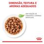 Imagem de Sachê Royal Canin Kitten Alimento Úmido para Gato Filhote 85g