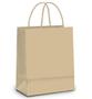 Imagem de Sacola de Papel G 32x26,5x13cm - (1002022) Kraft - 10 unidades - Cromus