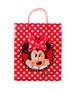 Imagem de Sacola de Presentes Imagem Minnie (G) - DPB01-MK2