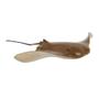 Imagem de Safari Ltd Wild Safari Sea Life Cownose Ray