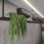 Imagem de Samambaia Artificial Cheia Com Toque Real Decorativa Arranjo