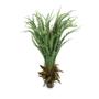 Imagem de Samambaia Folhagem Artificial Cheia Com Pote X60 Verde 80 Cm F04 - D'rossi