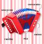 Imagem de Sanfona Mini Acordeon Infantil Brinquedo 3 Baixos 7 Teclas