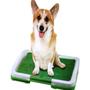 Imagem de Sanitario para cães Puppy Potty Pad grama artificial CBR01119