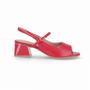 Imagem de Sapato Slingback Renee Hibisco