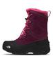 Imagem de Sapatos de Caminhada THE NORTH FACE Alpenglow V WP Infantil - Boysenberry