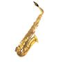 Imagem de Sax Alto Dreamer em Eb Niquelado FT6430L