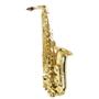 Imagem de Saxofone Alto As 200 Laqueado Dourado Com Case New York F097