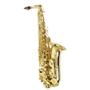 Imagem de Saxofone Alto AS 200 Laqueado Dourado com Case New York