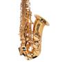 Imagem de Saxofone Alto Dominante Dourado com Semicase