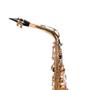 Imagem de Saxofone Alto Dominante Dourado com Semicase