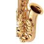 Imagem de Saxofone Alto Eagle Sa501 Sax Laqueado Eb Com Case