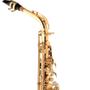 Imagem de Saxofone Alto Eagle Sa501 Sax Laqueado Eb Com Case