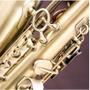 Imagem de Saxofone Alto Em Mib Envelhecido Sa500vg Eagle Envio 24h