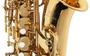 Imagem de Saxofone Alto Michael Linha Essence WASM30N Dourado - com Case