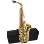 Imagem de Saxofone Alto Michael Wasm30n Eb