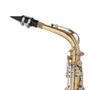 Imagem de Saxofone Alto Michael WASM32 Laqueado com Chaves Niqueladas