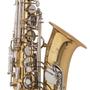 Imagem de Saxofone Alto Michael WASM32 Laqueado com Chaves Niqueladas