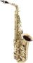 Imagem de Saxofone Alto Profissional Eagle Sax510 Em Bronze C/ Estojo