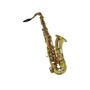 Imagem de Saxofone alto shelter  sft6435l