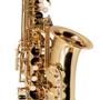 Imagem de Saxofone Alto Vogga VSAS701N